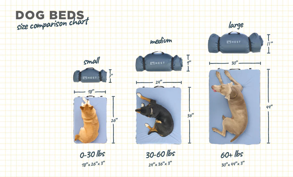 Dog Bed