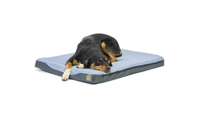 Dog Bed