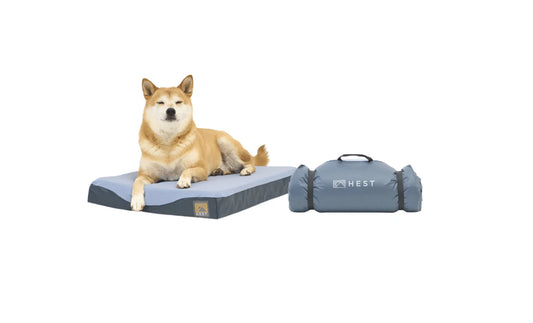 Dog Bed